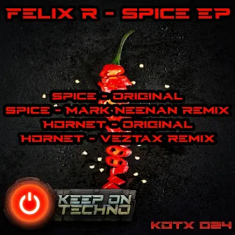 Spice EP by Felix R