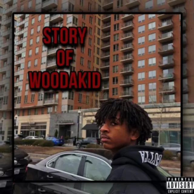 Story of Woodakid