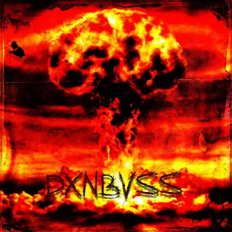 DXNBVSS by DI$COVXRED SXRF