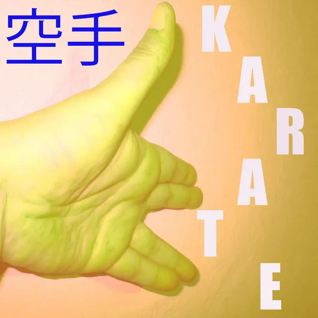 Musica per il Karate Vol. 6