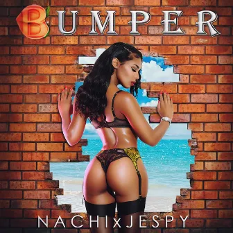 Bumper by Nachi