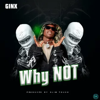 Why Not by Ginx