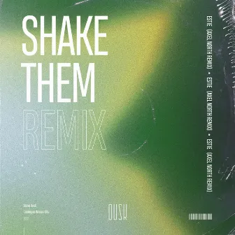 Shake Them (Axel North Remix) by Axel North