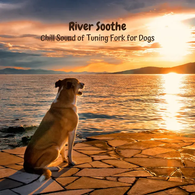 River Soothe: Chill Sound of Tuning Fork for Dogs