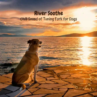 River Soothe: Chill Sound of Tuning Fork for Dogs by Dog Music Library