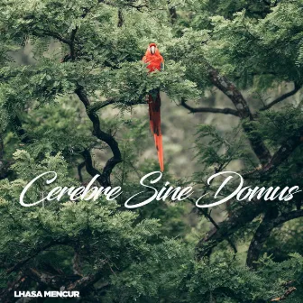 Cerebre Sine Domus by Lhasa Mencur