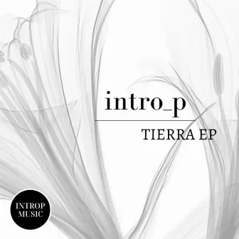 Tierra by IntroP