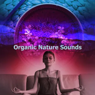 Organic Nature Sounds by Nature Meditation Channel