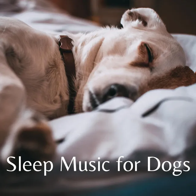 Sleep Music for Dogs