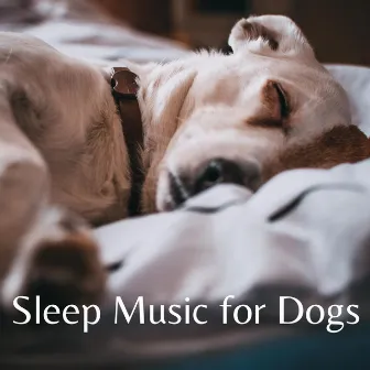 Sleep Music for Dogs by Dog Songs