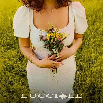 Lucciole (Luce) by Sigma