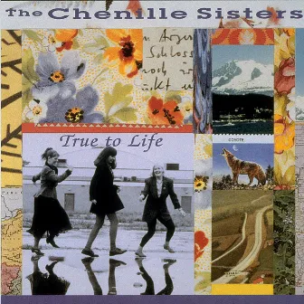 True to Life by The Chenille Sisters