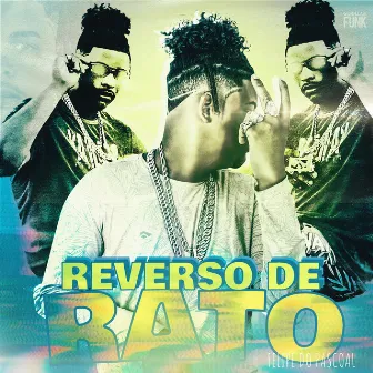 Reverso de Rato by Felipe Do Pascoal