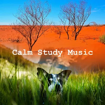 Calm Study Music by Naturae