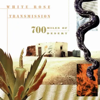 700 Miles Of Desert by White Rose Transmission