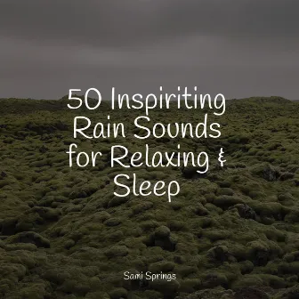 50 Inspiriting Rain Sounds for Relaxing & Sleep by Restaurant Background Music