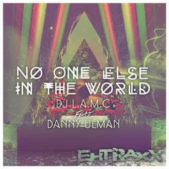 No One Else In The World by Danny Ulman