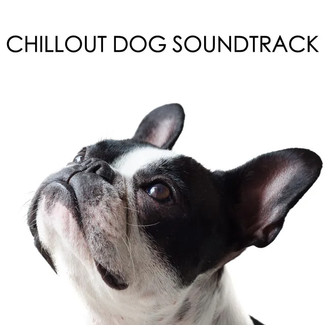 Chillout Dog Soundtrack For Relaxed Pups