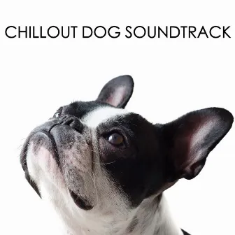 Chillout Dog Soundtrack For Relaxed Pups by Dog Chillout Zone