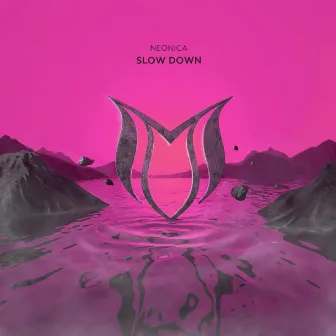 Slow Down by Neonica