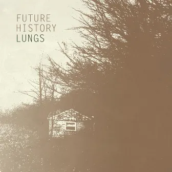 Lungs by Future History