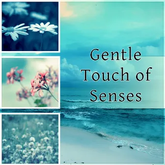 Gentle Touch of Senses - The Best Music for Restful Sleep, Relaxing Background Music, Soothing Sounds & Beautiful Piano Music, Stress Relief by Relaxing Piano Night Club