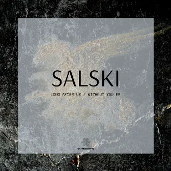 Long After Us / Without You by Salski