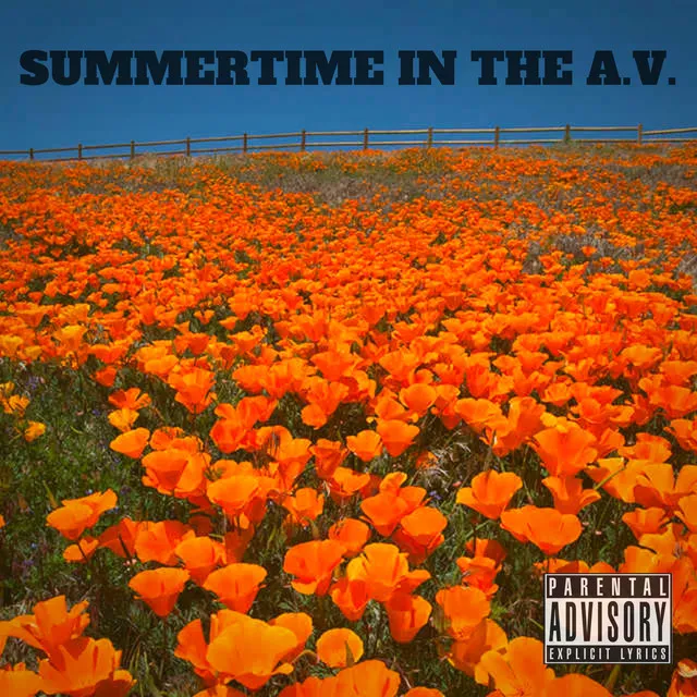 Summertime in the A.V.