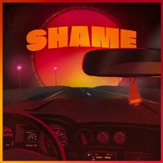 Shame by Nick Throop