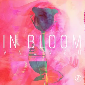 In Bloom by Vncnzo