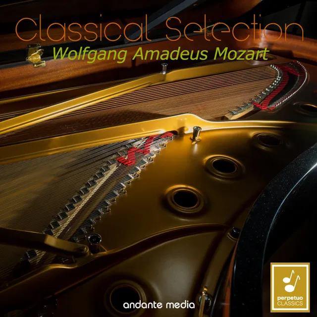 Piano Concerto No. 1 in F Major, K. 37: I. Allegro