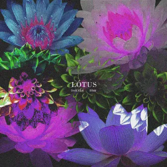 Lótus by DI60