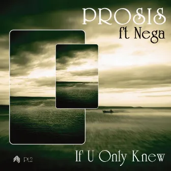 If U Only Knew Remixes (Part 2) by Prosis