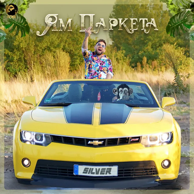 Ям паркета