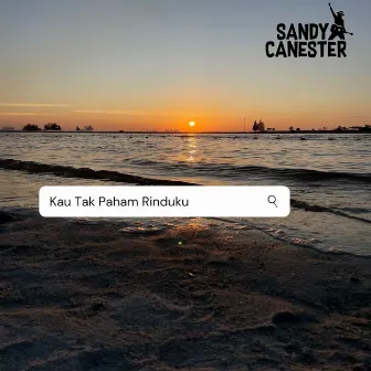 Kau Tak Paham Rinduku by Sandy Canester