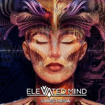 Synesthesia EP by Elevated Mind