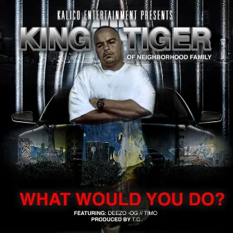 What Would You Do? (feat. Deezo & Timo) by King Tiger OG