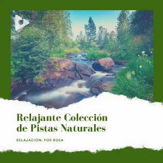 Relajante Colección de Pistas Naturales by Mantra para Dormir