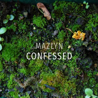 Confessed by Mazlyn