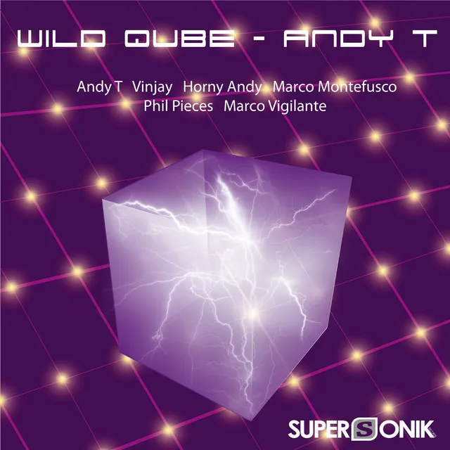 Wild Qube (phil Pieces and Andy T Mix)