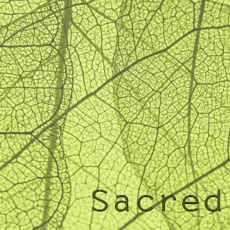 Sacred by Charlie Roscoe