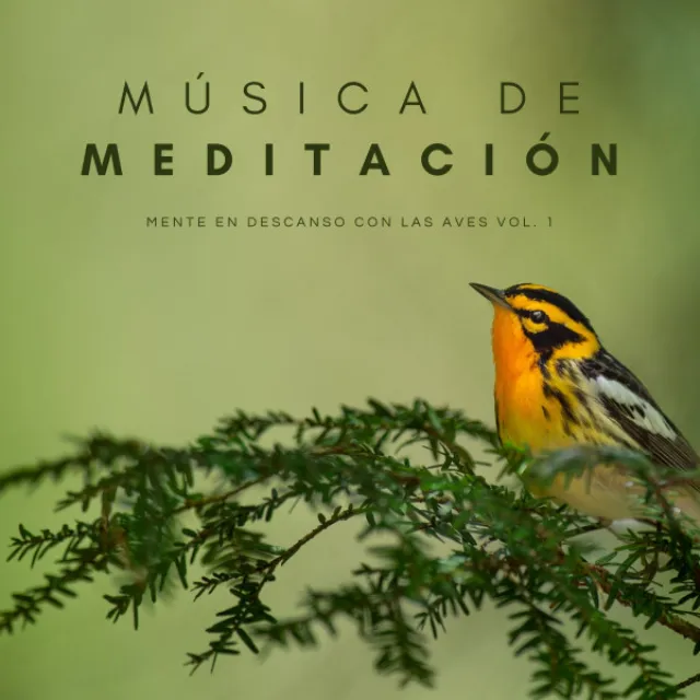 Música Para Dormir Relajante