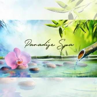 Paradise Spa: Soothing New Age Music with Healing Sounds of Nature, Rejuvenate Your Body & Mind, Wellness & Serenity Spa, Self Care Day by Relaxing Spa Oasis