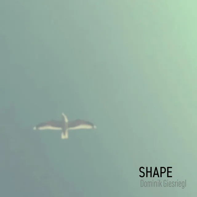 Shape