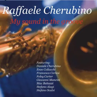 My Sound In the Groove by Raffaele Cherubino