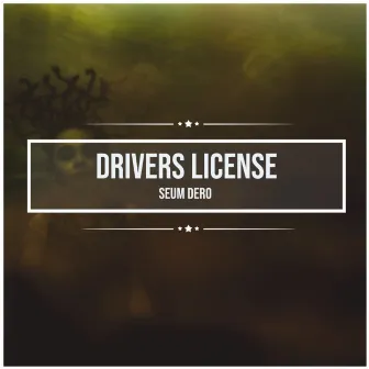 drivers license by Seum Dero