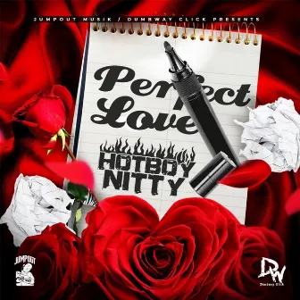 Perfect Love by Hotboy Nitty