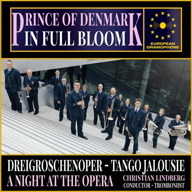 Prince of Denmark Air Force Band