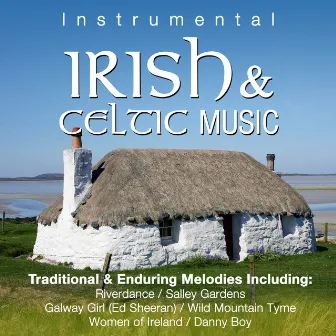 Instrumental Irish Music by The Columba Minstrels