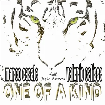 One of a Kind (feat. Dario Falasca) by Marco Casale